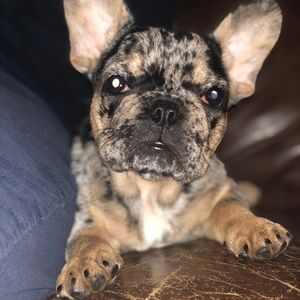 Meet your Posher, Joann